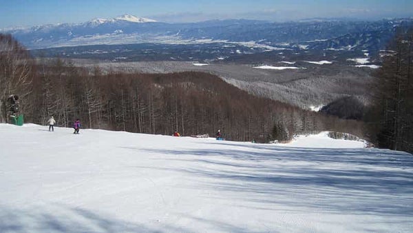 【新宿朝発】ぶっとび!日帰りスキー&スノボ|シャトレーゼスキーバレー小海(リフト券付)1